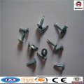 Anping Weihao offer screw/various type self tapping screw